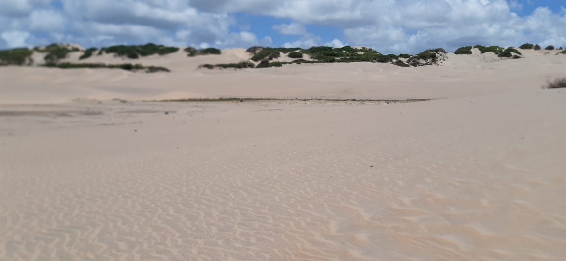 mkaazi-sandy-beach-land-in-mambrui-2