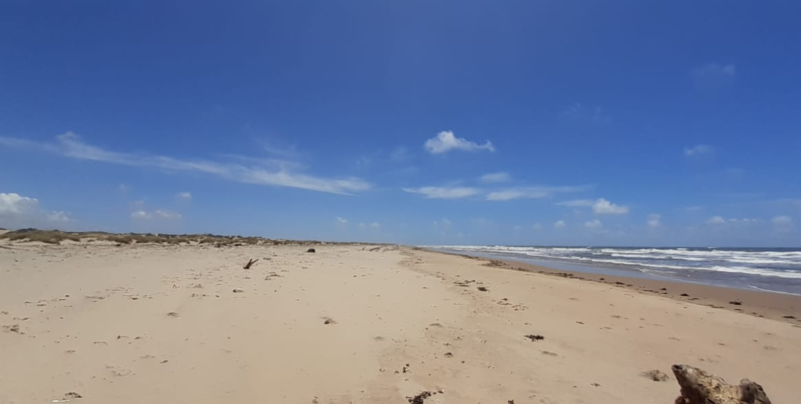 mkaazi-sandy-beach-land-in-mambrui-5