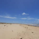 mkaazi-sandy-beach-land-in-mambrui-5