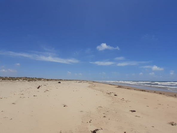mkaazi-sandy-beach-land-in-mambrui-5