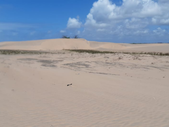 mkaazi-sandy-beach-land-in-mambrui-6