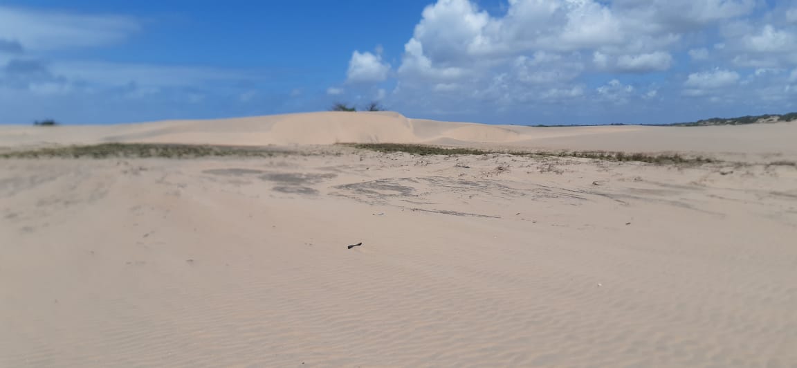 mkaazi-sandy-beach-land-in-mambrui-6