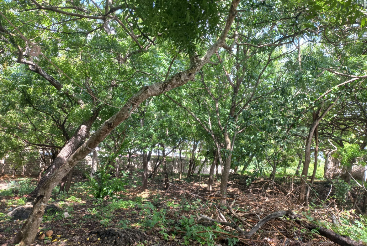 mkaazi-half-acre-next-to-paparemo-watamu-1