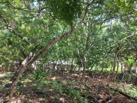 mkaazi-half-acre-next-to-paparemo-watamu-1