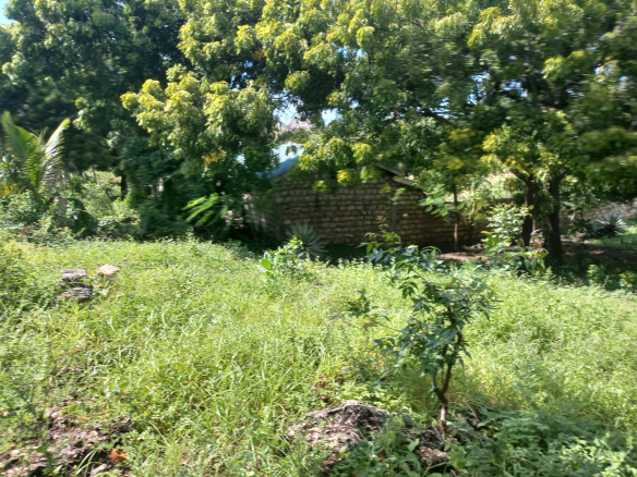 mkaazi-half-acre-next-to-paparemo-watamu-2