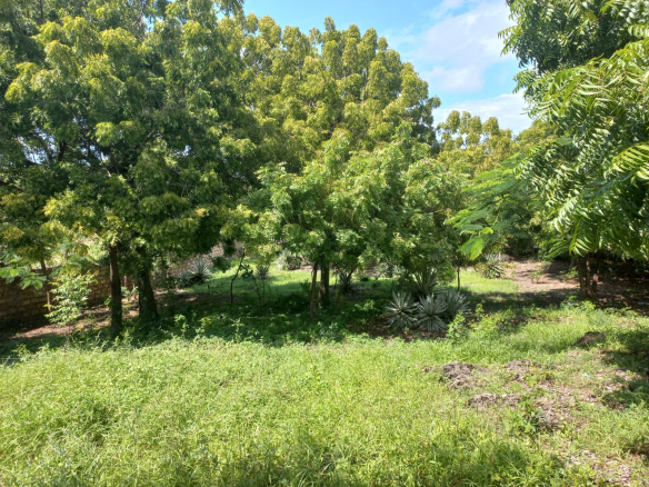 mkaazi-half-acre-next-to-paparemo-watamu-4