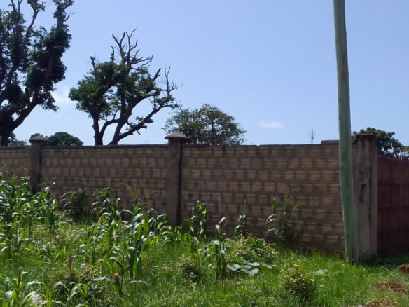 mkaazi-quoter-acre-mtangani-9