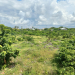 quoter-acres-watamu-paparemo-3