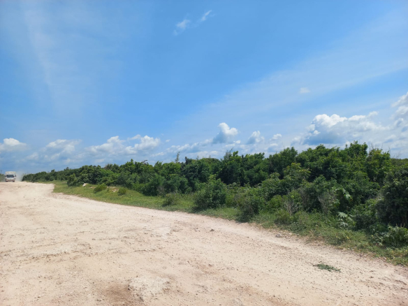 road-frontage-2-acres-jacaranda-beach-watamu