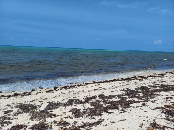 the-beach-from-the-2-acres