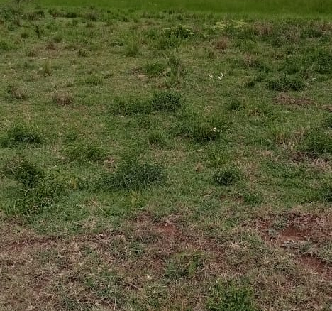 2-5-acres-commercial-land-in-ruiru-for-sale-6