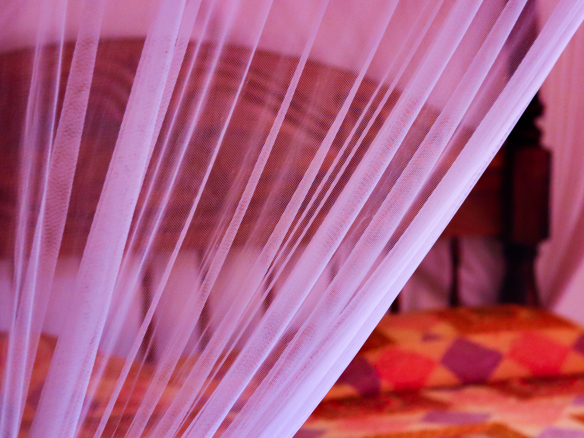 an-elegant-3-bedroom-bungalow for sale in Malindi, Casuarina road