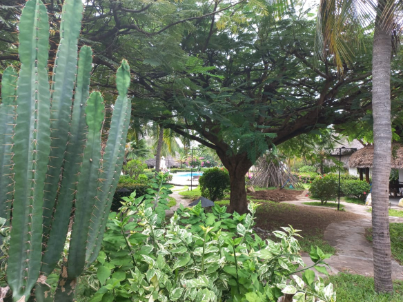 habour-key-2-bedroom-mkaazi-2