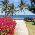 habour-key-mkaazi-2-bedrooms