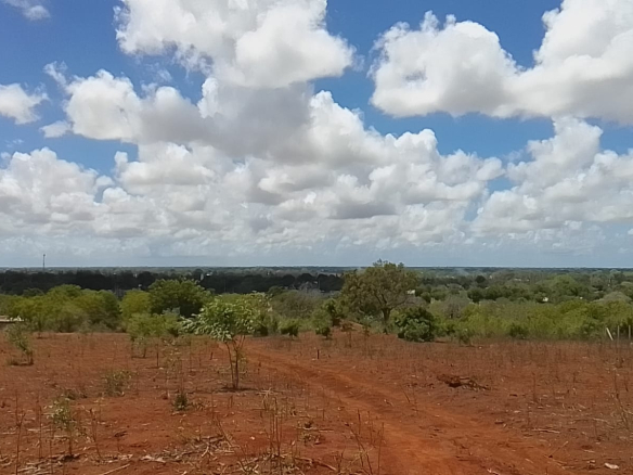 land for sale in kakuyuni-half-acre-for-sale