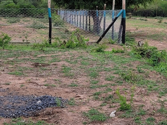 matuu-50by100-plots-for-sale