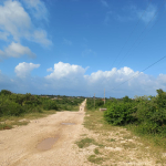 mayungu-quarter-and-eight-acre-for-sale