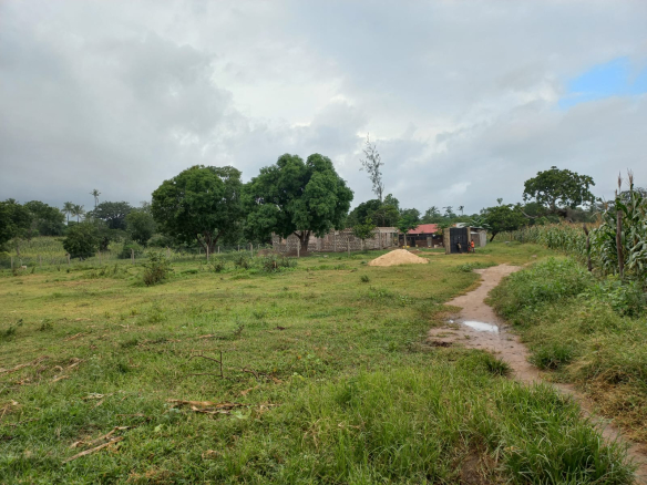 mkaazi-1acre-ganda-for-sale-2