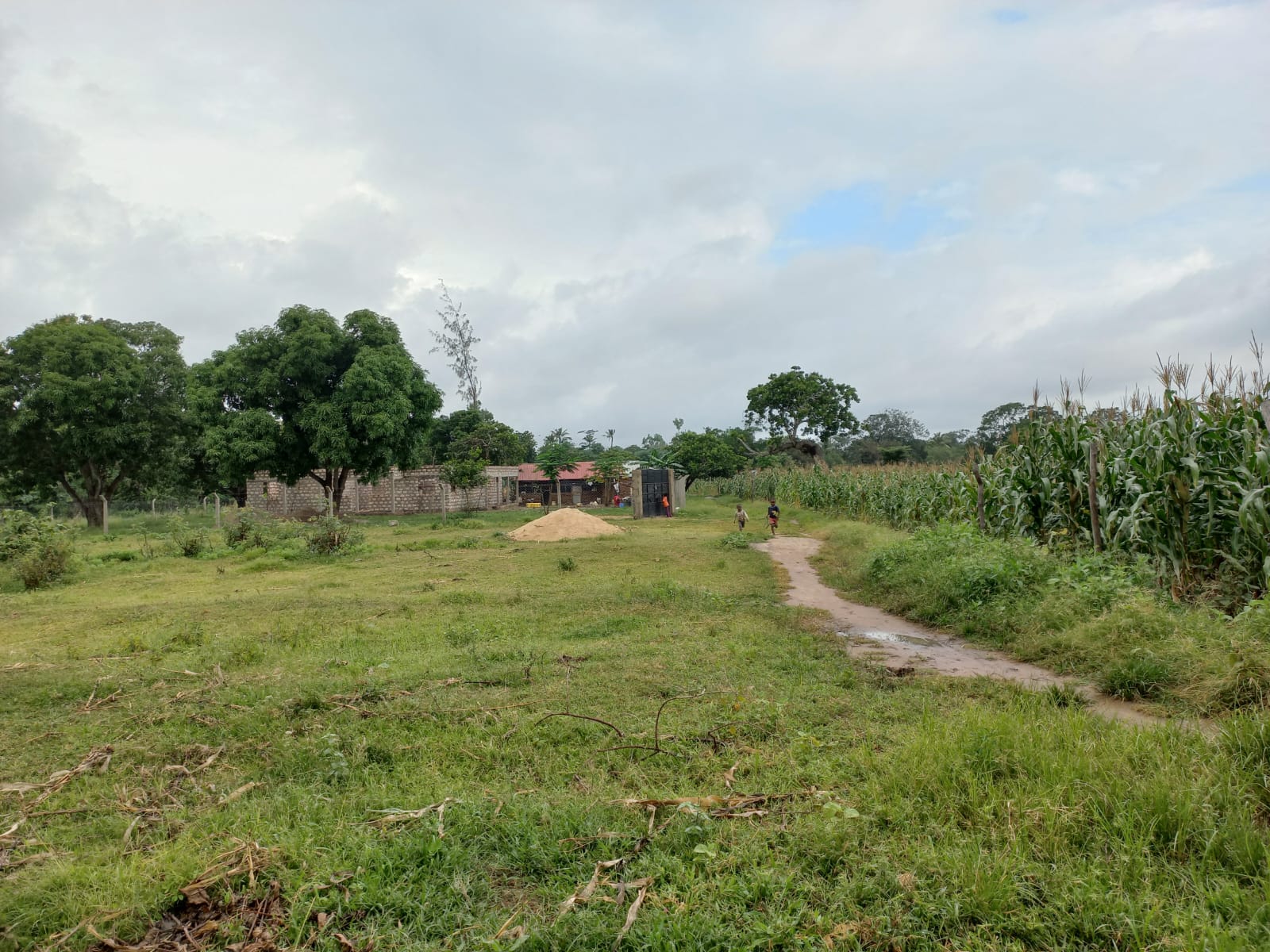 mkaazi-1acre-ganda-for-sale-3