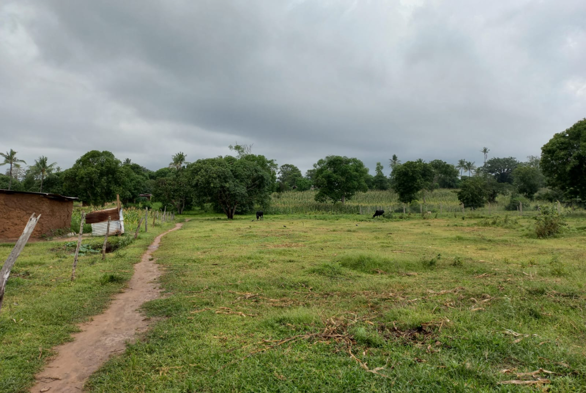 mkaazi-1acre-ganda-for-sale-5