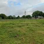 mkaazi-1acre-ganda-for-sale-6