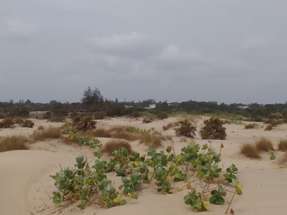 mkaazi-3-acre-patapata-2