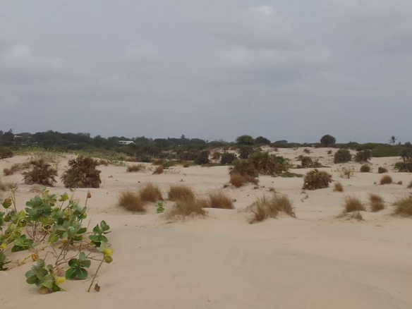 mkaazi-3-acre-patapata-3