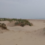 mkaazi-3-acre-patapata-4