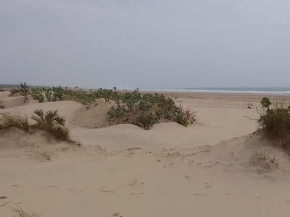 mkaazi-3-acre-patapata-4