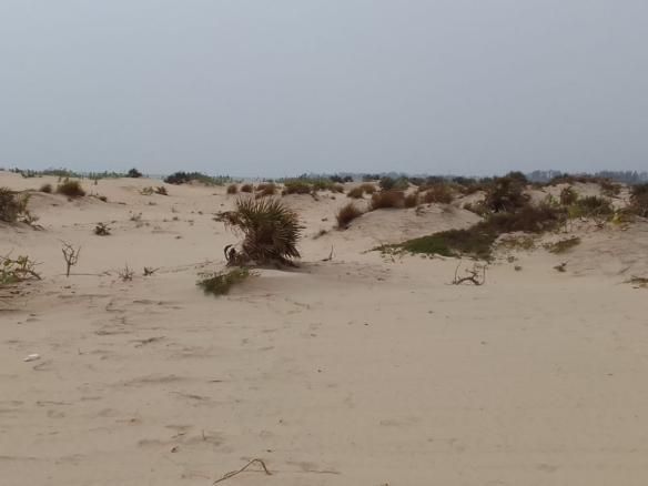 mkaazi-3-acre-patapata