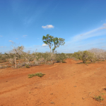 mkaazi-5-acres-farm-at-bombi-1