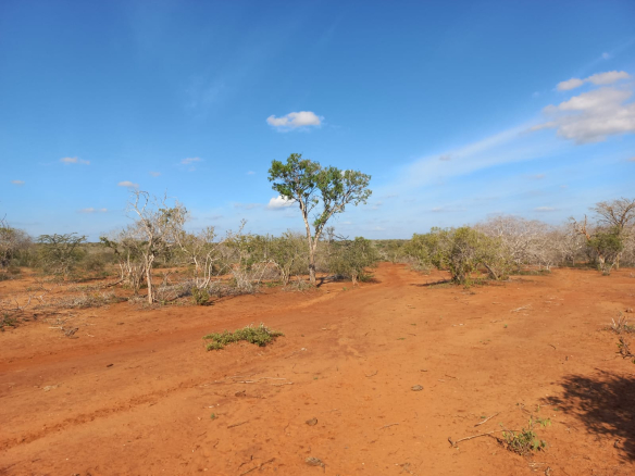 mkaazi-5-acres-farm-at-bombi-1