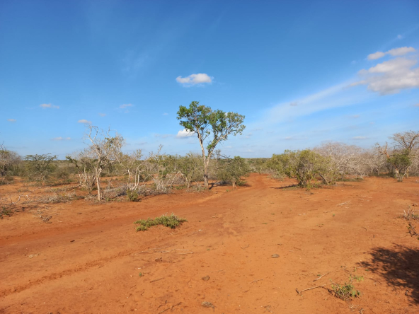 mkaazi-5-acres-farm-at-bombi-1