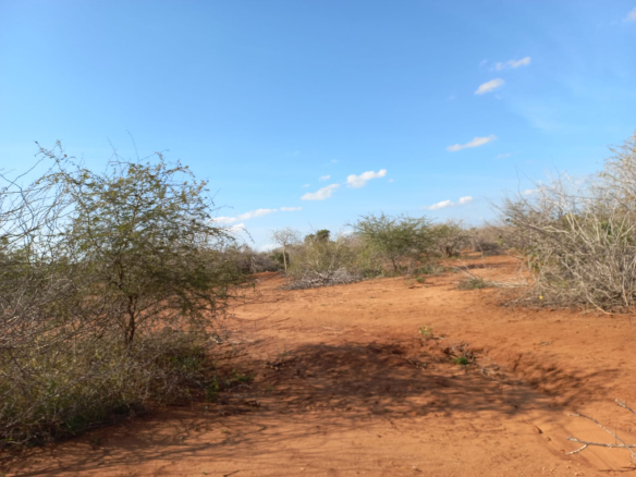 mkaazi-5-acres-farm-at-bombi-2
