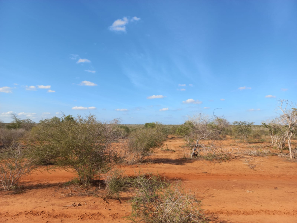 mkaazi-5-acres-farm-at-bombi-5