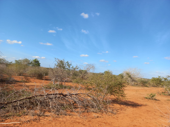 mkaazi-5-acres-farm-at-bombi-6