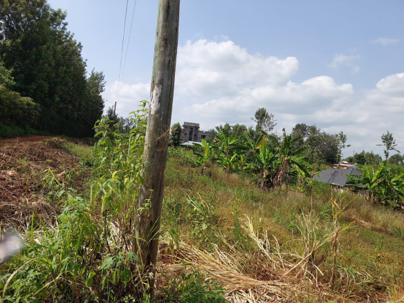 mkaazi-50by100-plots-kabati-muranga-1