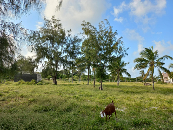mkaazi-6-5-acres-st-thomas-for-sale-8