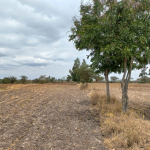 mkaazi-kithimani-land-for-sale-2