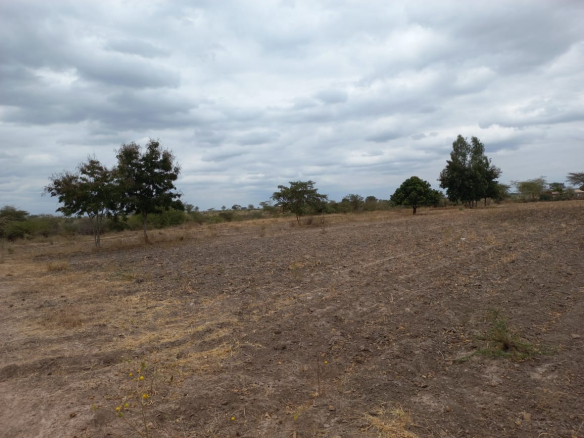 mkaazi-kithimani-land-for-sale-3