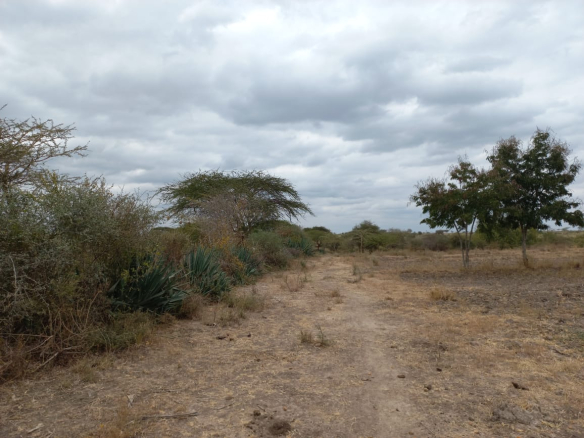 mkaazi-kithimani-land-for-sale-4