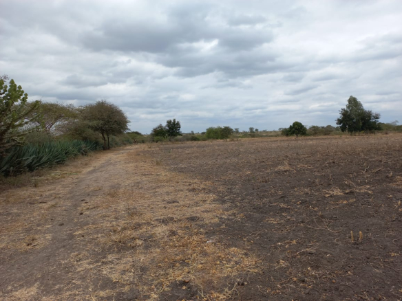 mkaazi-kithimani-land-for-sale-5