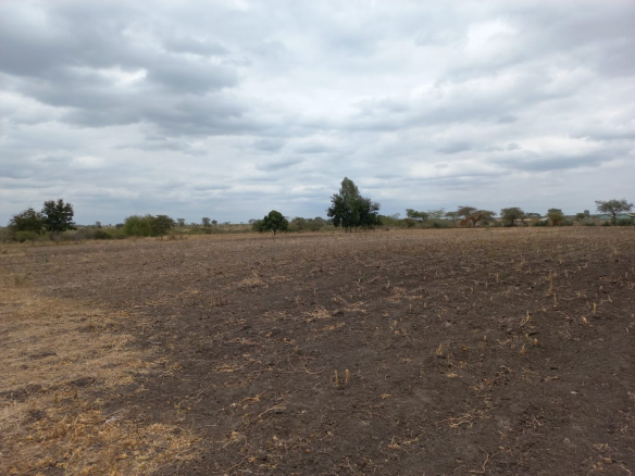 mkaazi-kithimani-land-for-sale-6