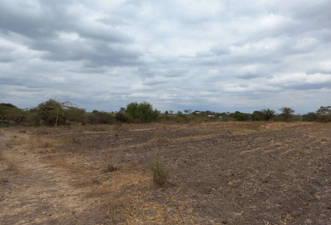 mkaazi-kithimani-land-for-sale-7