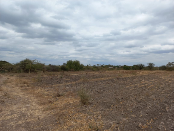 mkaazi-kithimani-land-for-sale-7