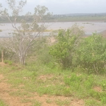 mkaazi-garashi-farm-land-for-sale-1