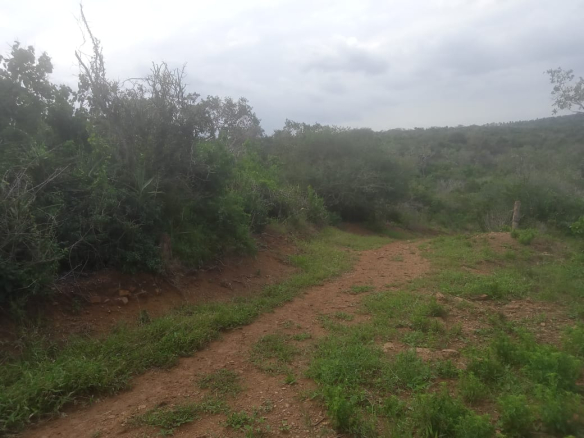 mkaazi-garashi-farm-land-for-sale-3