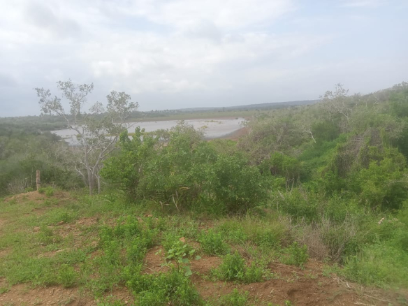 mkaazi-garashi-farm-land-for-sale-4