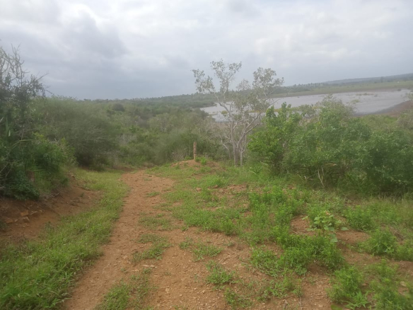 mkaazi-garashi-farm-land-for-sale-5