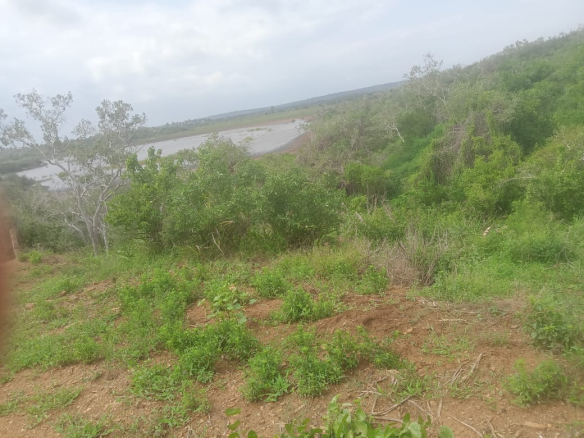 mkaazi-garashi-farm-land-for-sale-7
